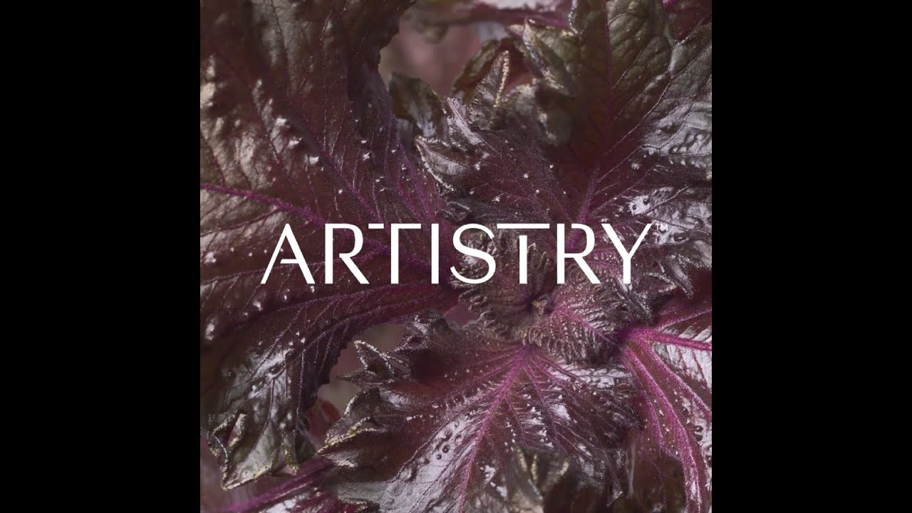 Conoce la marca Artistry™ - Skin Nutrition | Amway