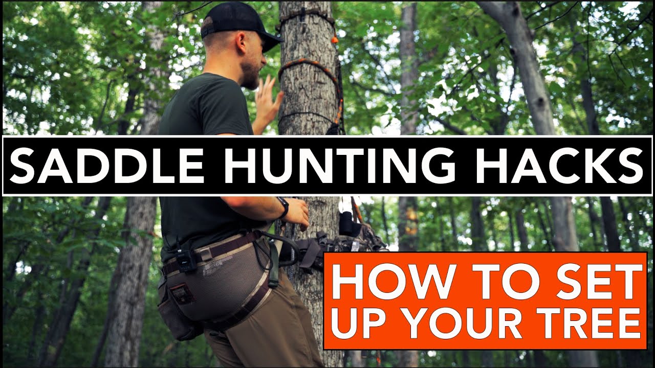 Saddle Hunting | Setup Tips & The Weak Side Shot
