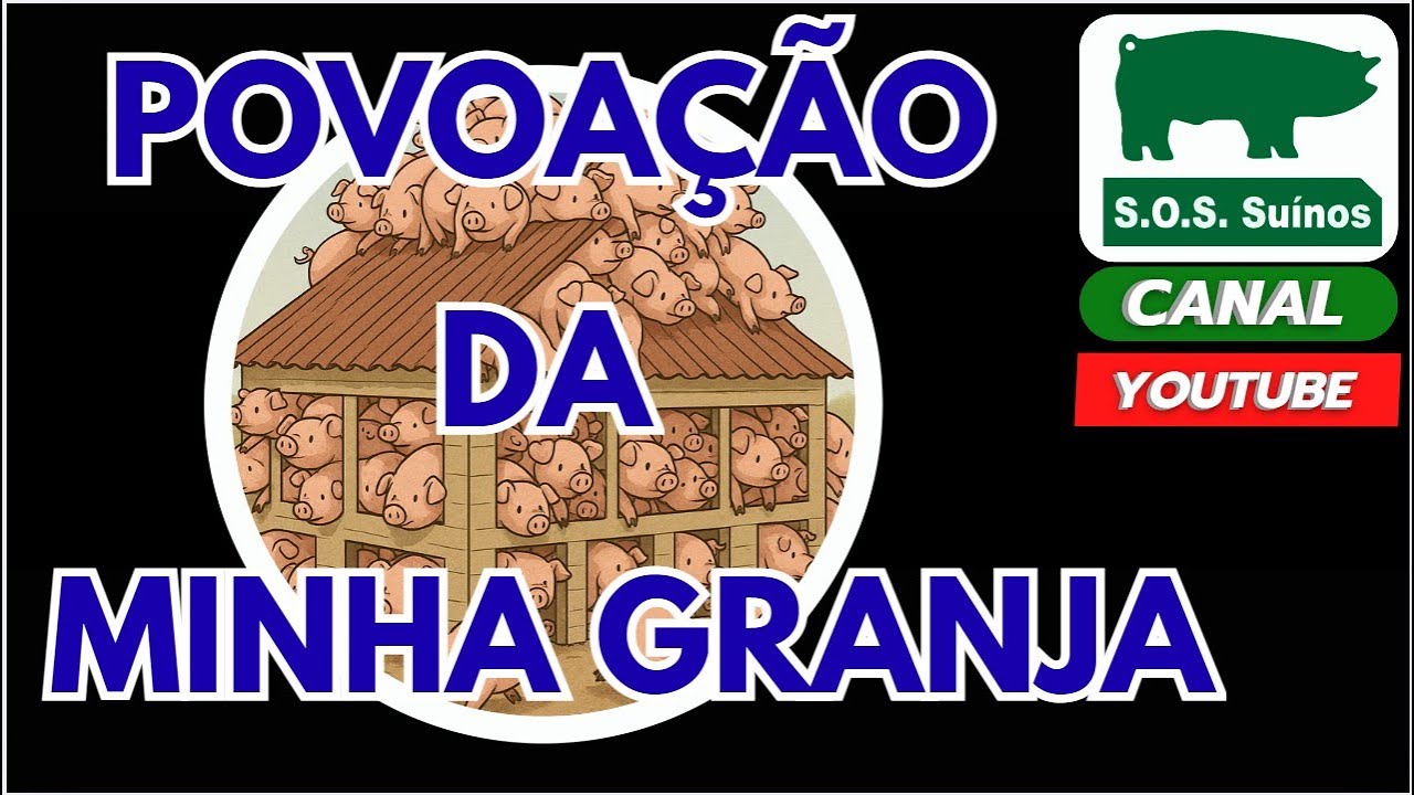 SUINOCULTURA: SOS SUINOS  - POVOAÇÃO DA MINHA GRANJA