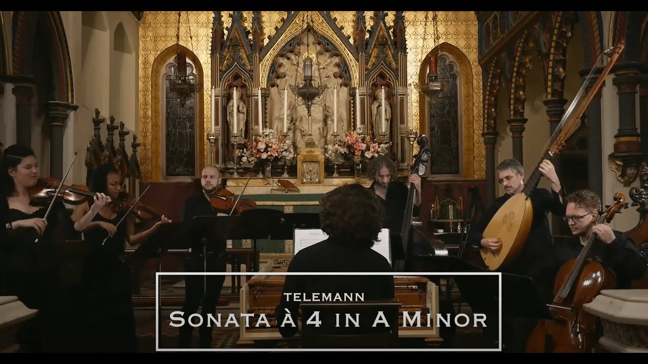 TWELFTH NIGHT // Sonata à 4 in A Minor by Telemann [LIVE]