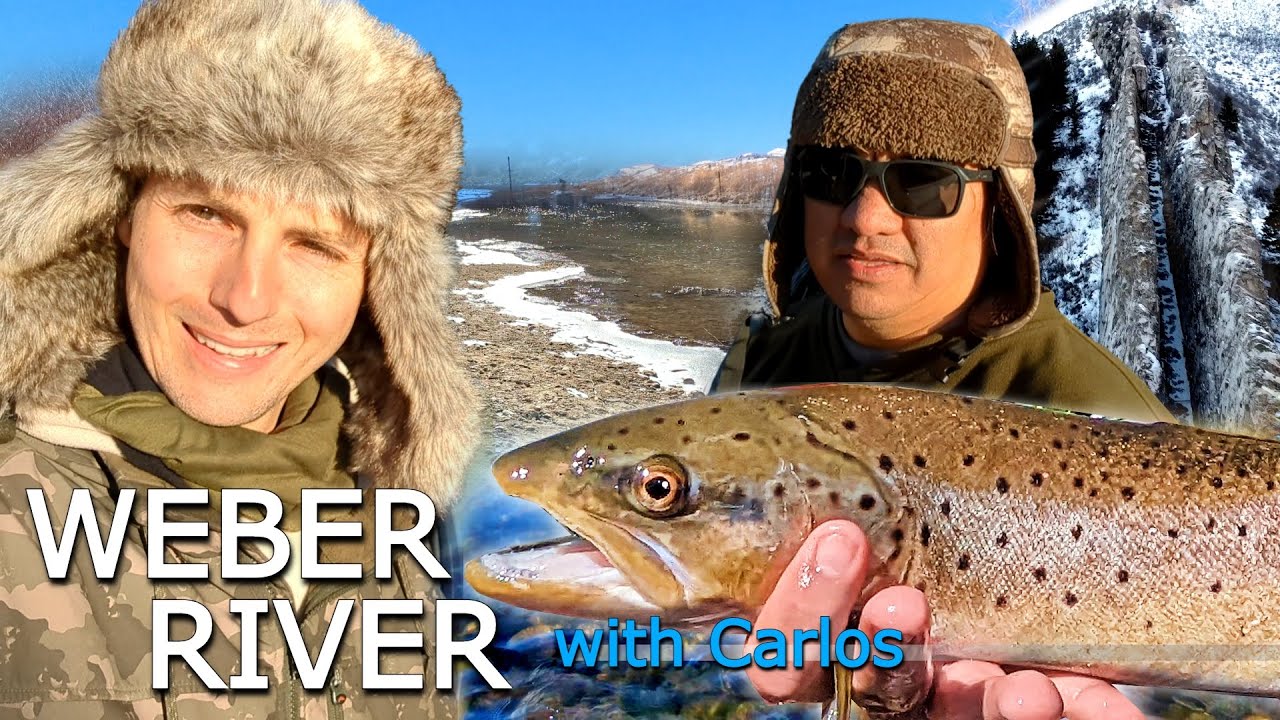 NONSTOP ACTION 🎣 fly fishing the Weber River