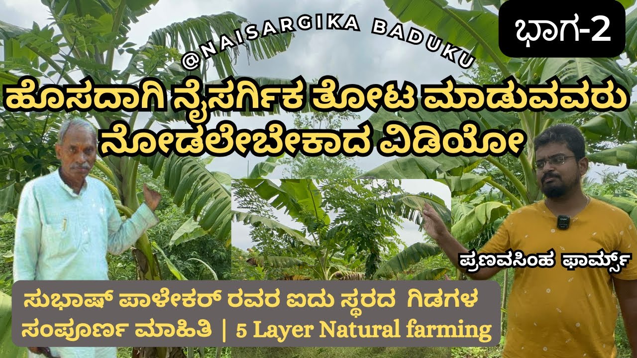 ಹೊಸದಾಗಿ ನೈಸರ್ಗಿಕ ತೋಟ ಮಾಡುವವರು ನೋಡಲೇಬೇಕಾದ ವಿಡಿಯೋ |Subash Palekar 5 Layer Natural farming|🇮🇳💛❤️ಭಾಗ-2