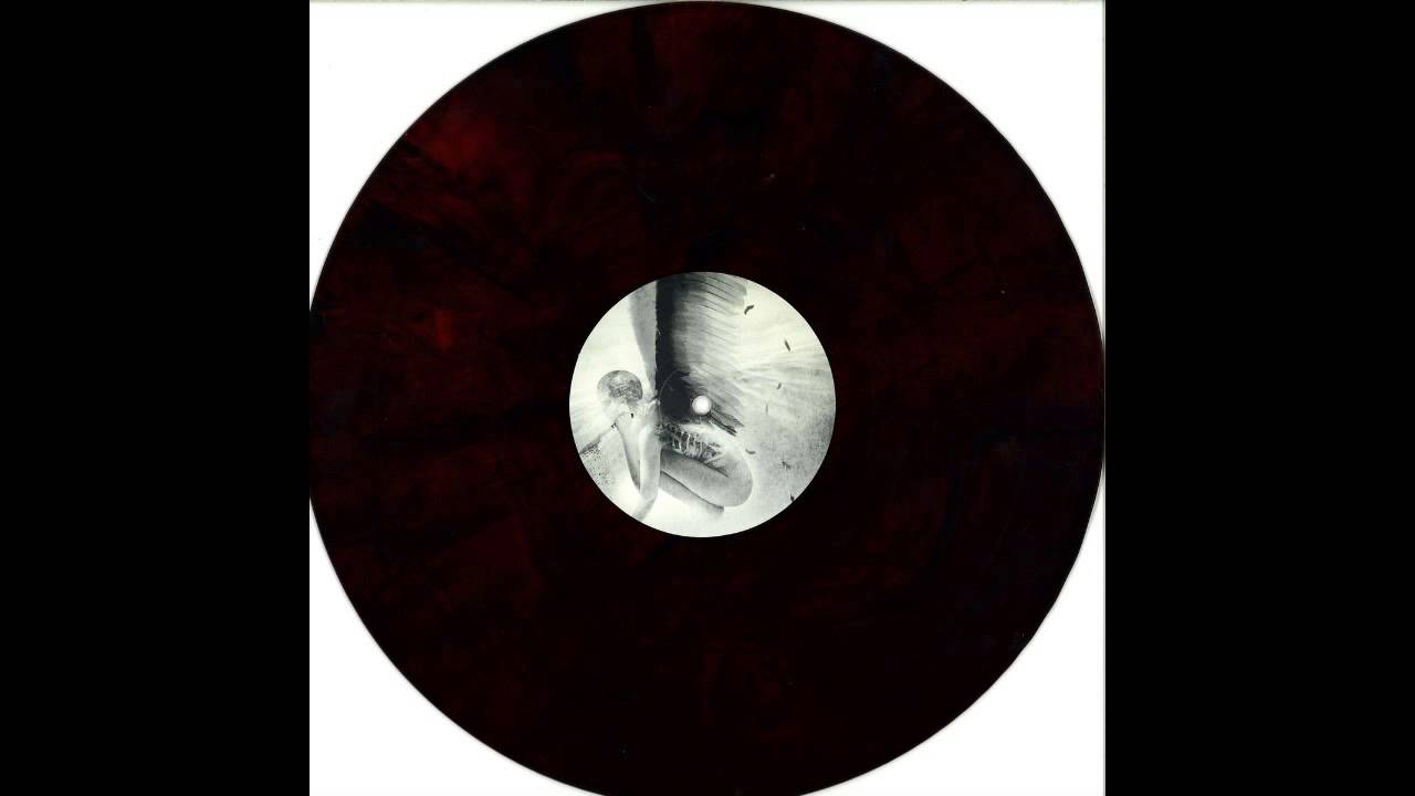 David Meiser - Breaking the Wall