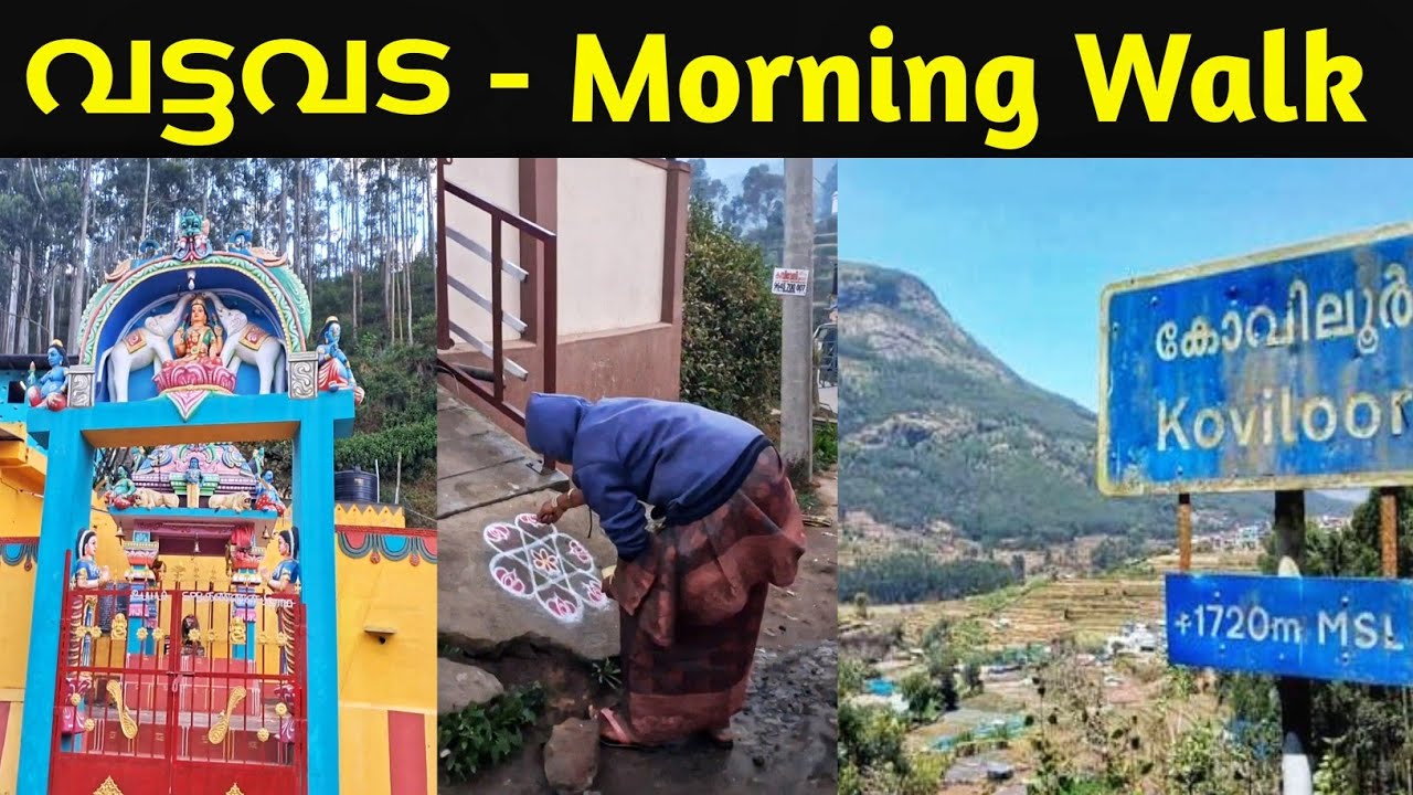 Утренняя прогулка в Ваттаваде/Ваттаваде/Ковилоре #vattavada #koviloor#munnar #viewpoint #farmvisit
