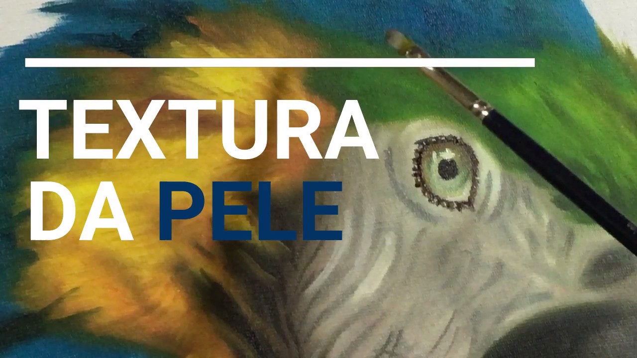 PINTANDO ARARA Pollyanna Ferreira