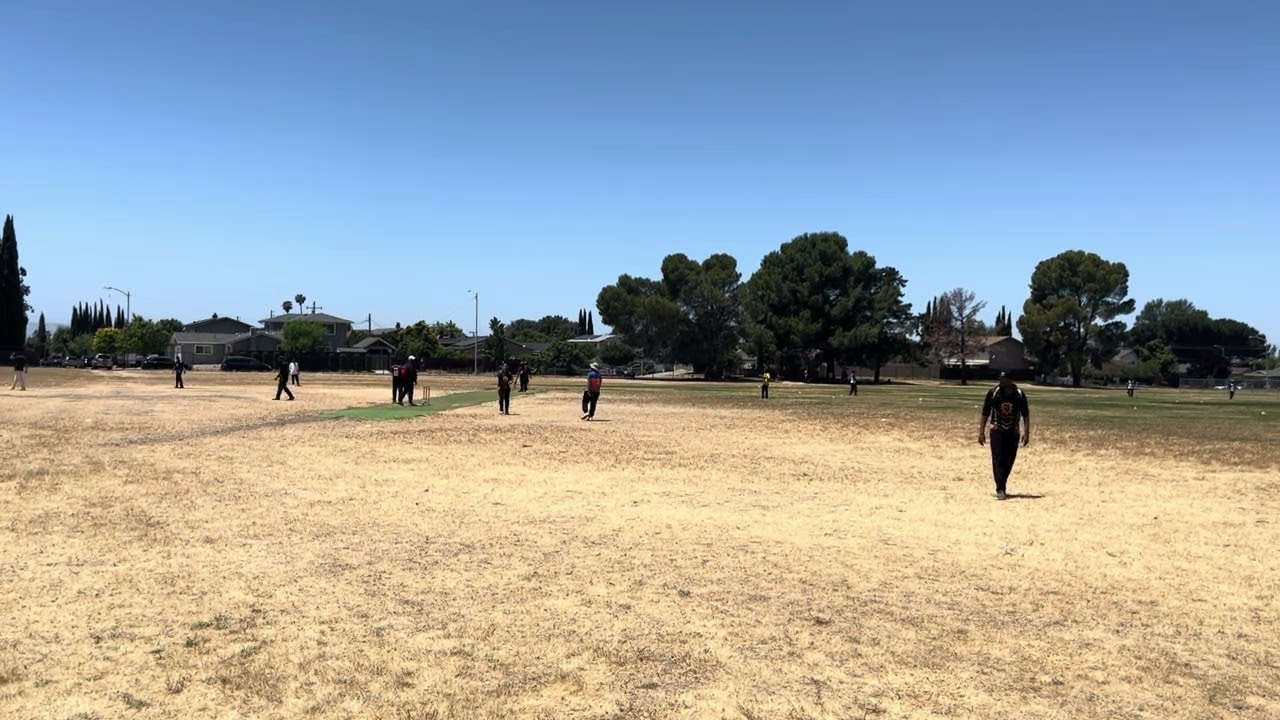 CricBay: Alpha Lions v Game Changers - Alpha Lions Innings