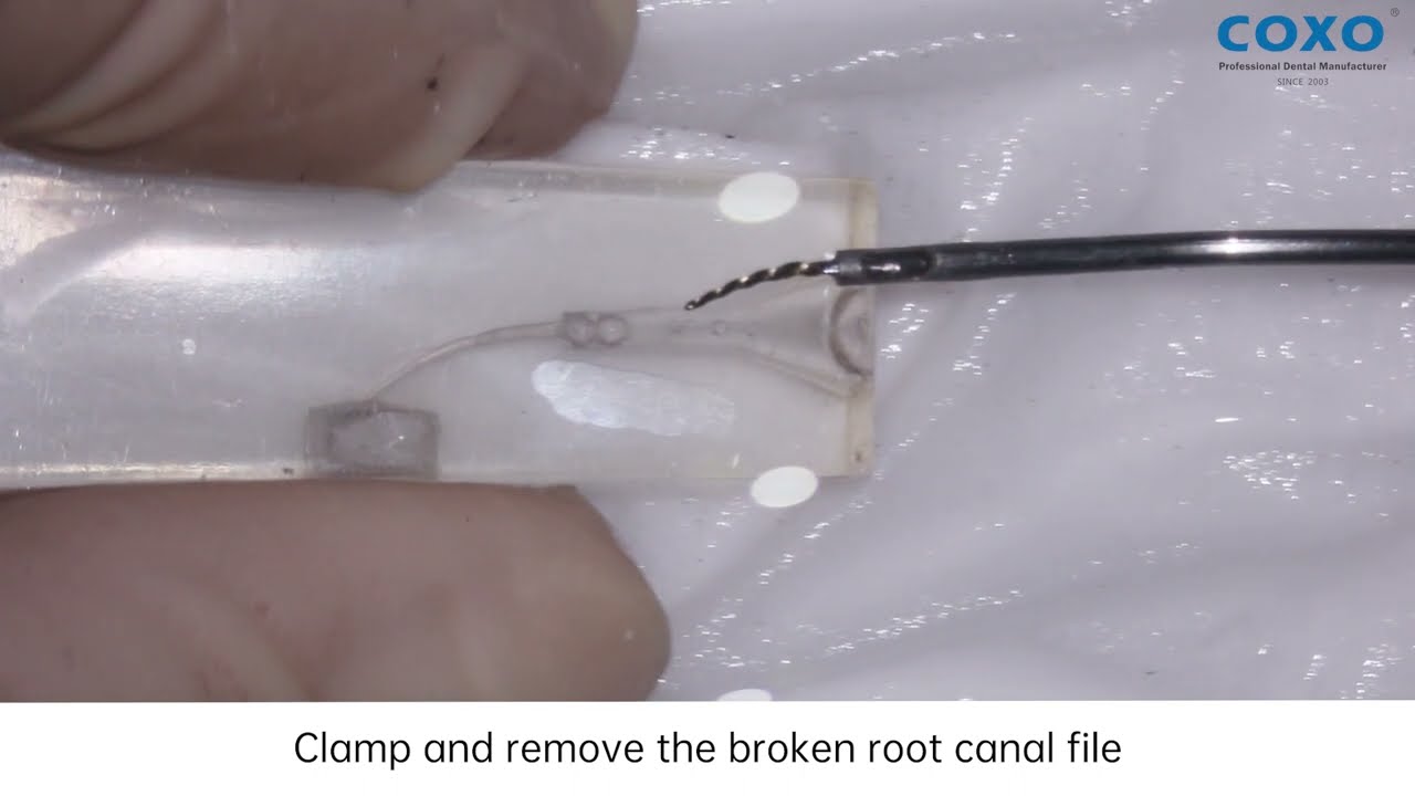 Demo video of C-FR1.