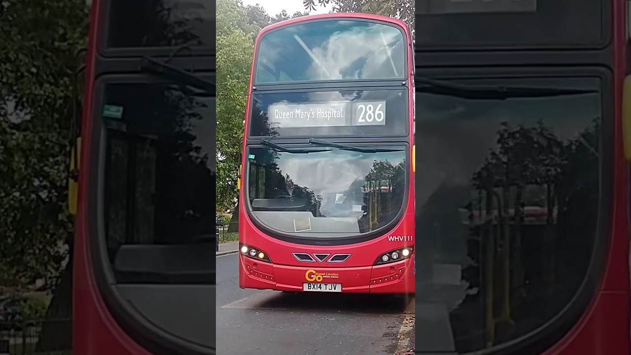 Go ahead London WHV111 BX14TJV on bus route 286 at Blackheath Royal standard 13/09/25