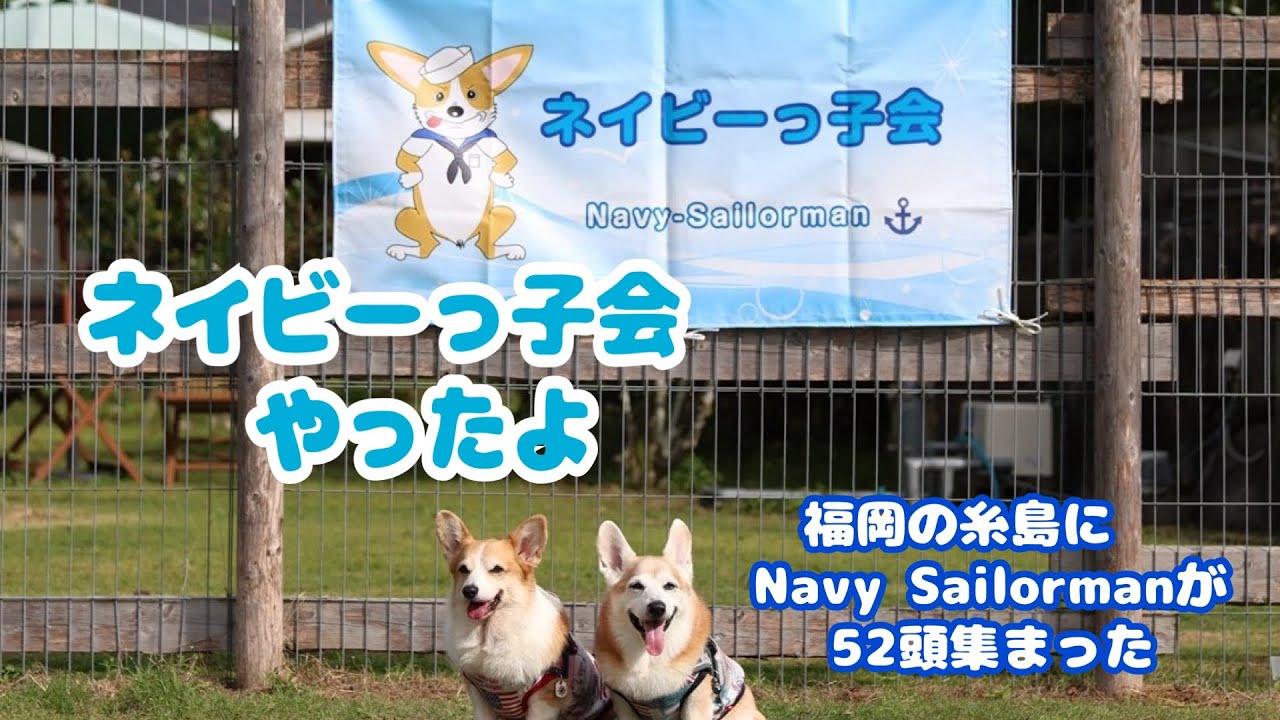 ネイビーっ子会 in 糸島