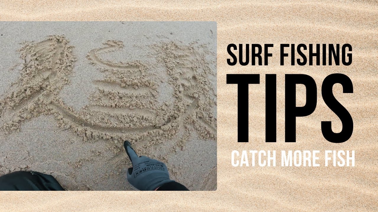 Surf Fishing Tips for Beginners: Catch More Fish!