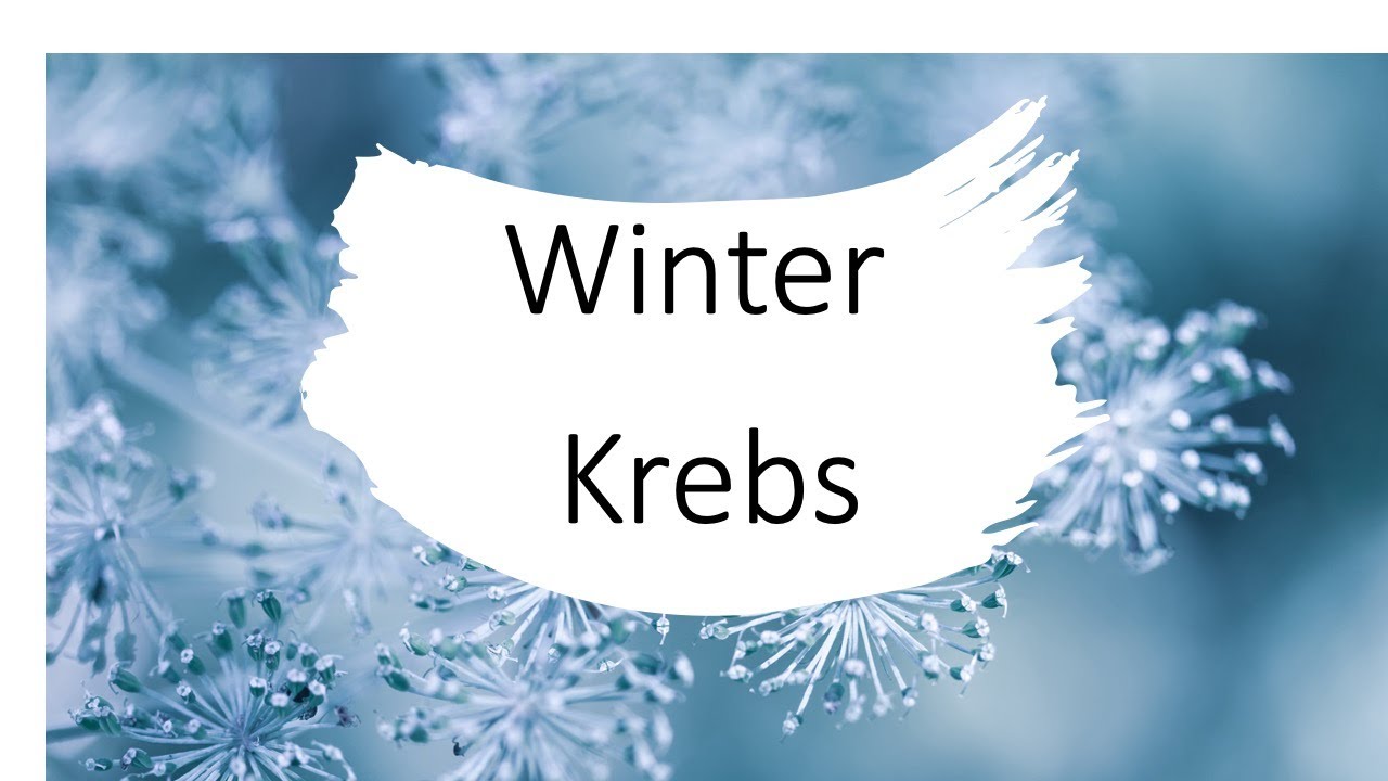 Krebs  ♋️ Viele❗️positive Veränderungen 🌟Winter 2024 🌟