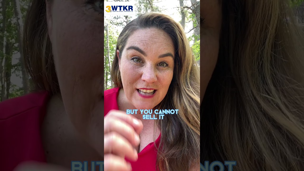 4/20 in Virginia: What You Can and Can't do With Pot