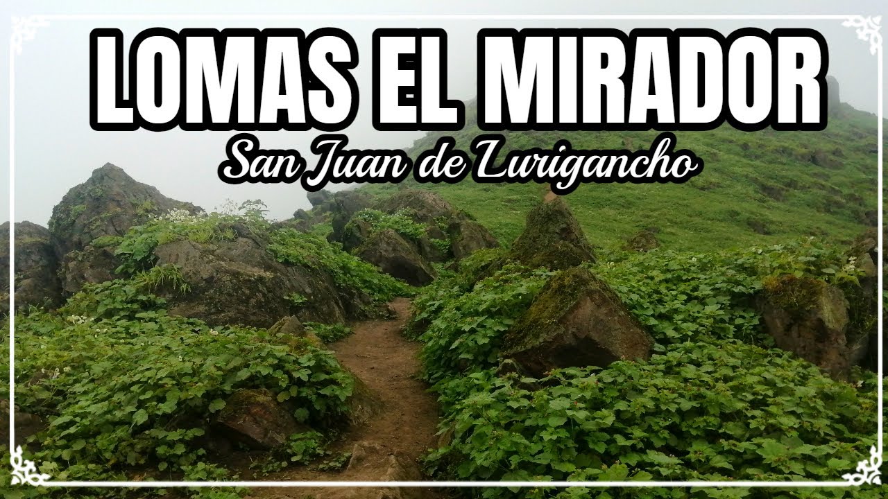 LOMAS EL MIRADOR /COMO LLEGAR A LOMAS EL MIRADOR /SAN JUAN DE LURIGANCHO - LIMA