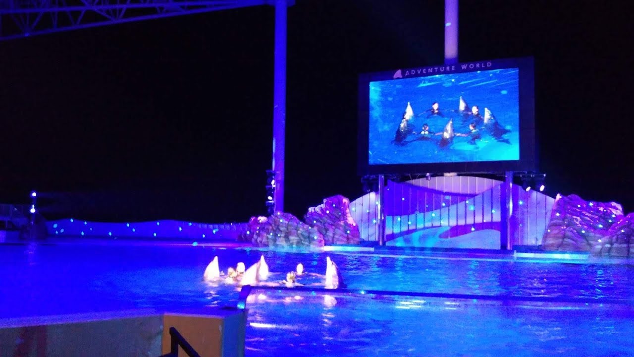 【 ナイトマリンライブLOVES 】Part2(2019年8月17日)アドベンチャーワールド夜のイルカショー