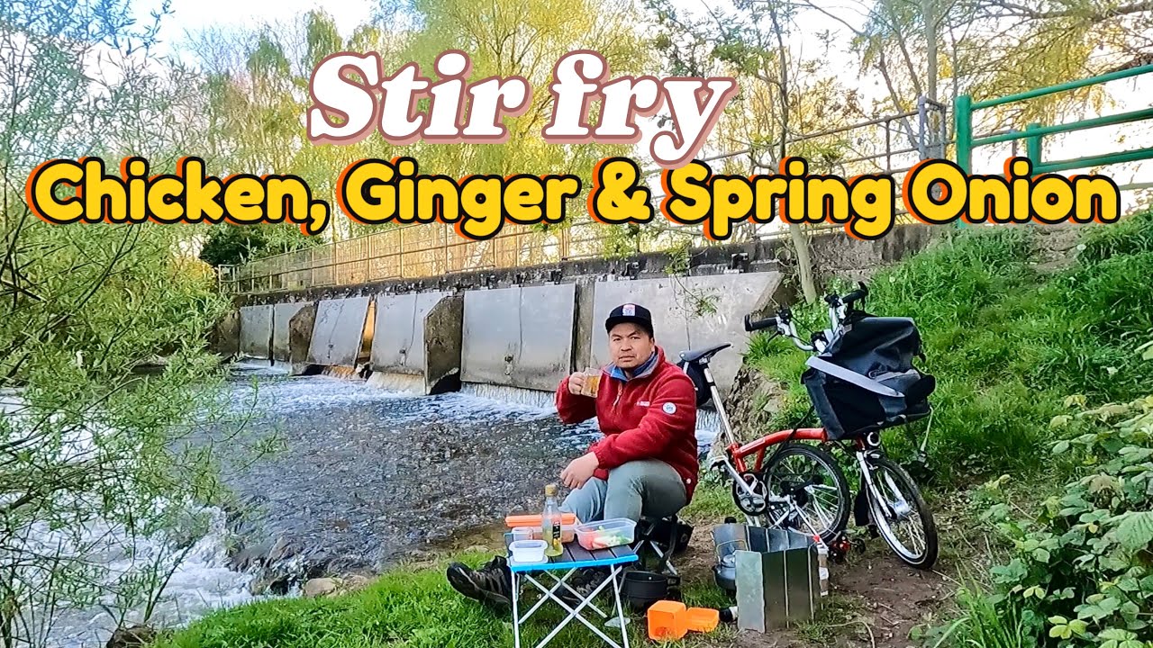 Brompton bike ride & cooking outdoors, Chicken ginger and spring onion