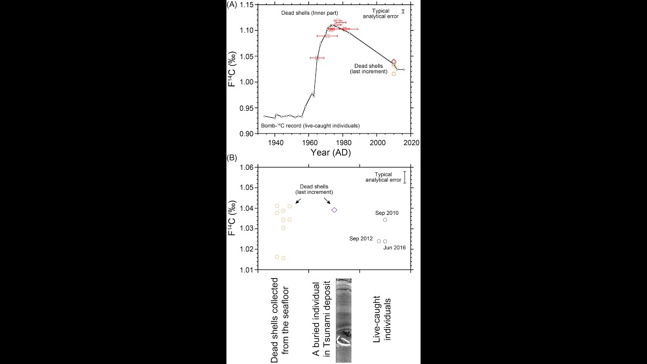 Puerto Rico tsunami deposit could have come from pre-Columbian megathrust earthquake
