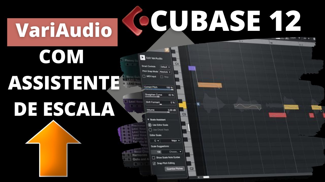 ASSISTENTE DE ESCALA NO VARIAUDIO - Veja como usar no CUBASE 12