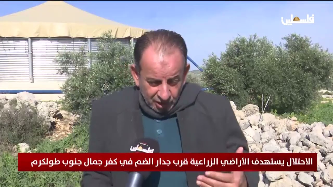 الاحتلال يستهدف الأراضي الزراعية قرب جدار الضم في كفر جمال جنوب طولكرم