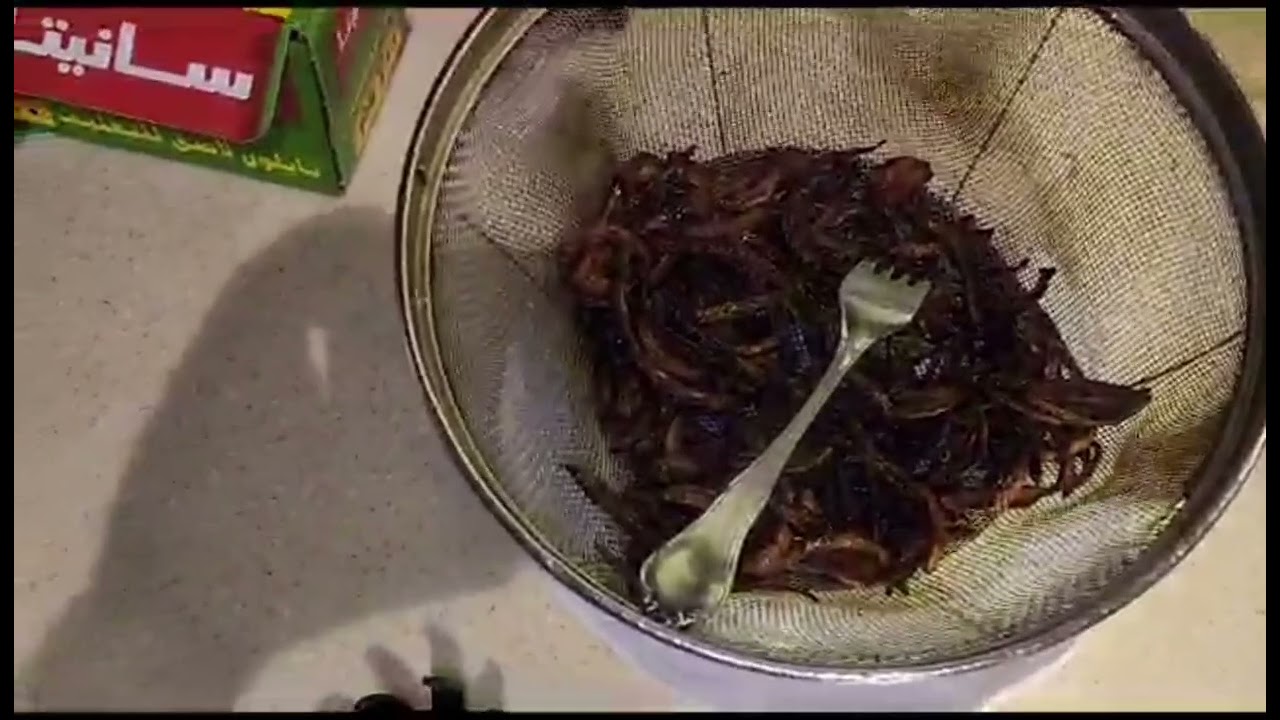 نسيب الكشري بالرز البسمتي