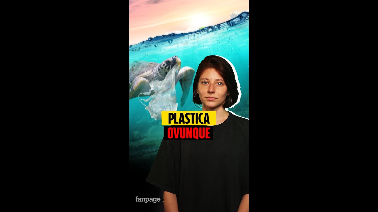 La plastica ora &egrave; OVUNQUE.