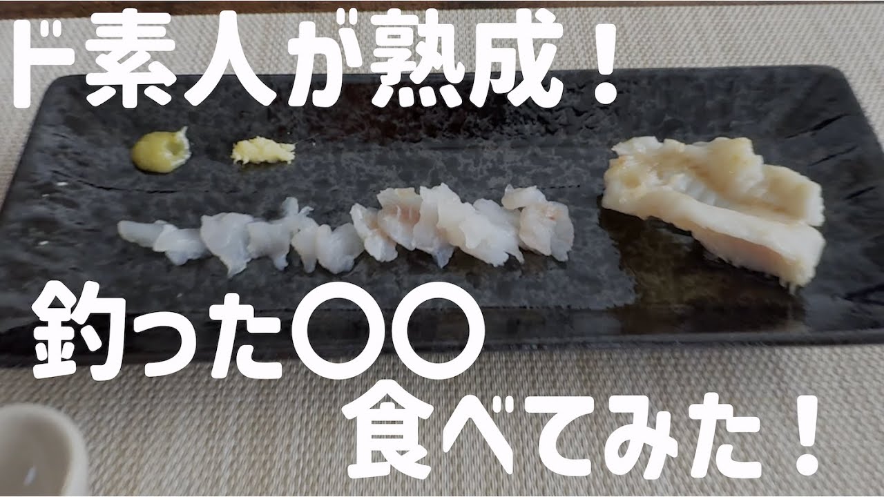 【vlog】素人が釣った〇〇を熟成にして食べてみた！ 城南島の魚は美味い・・？  #047