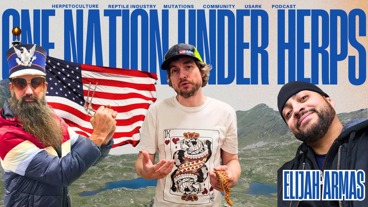 Blood Python Market Update + More With Juggernaut Reptiles | One Nation Under Herps (Live)