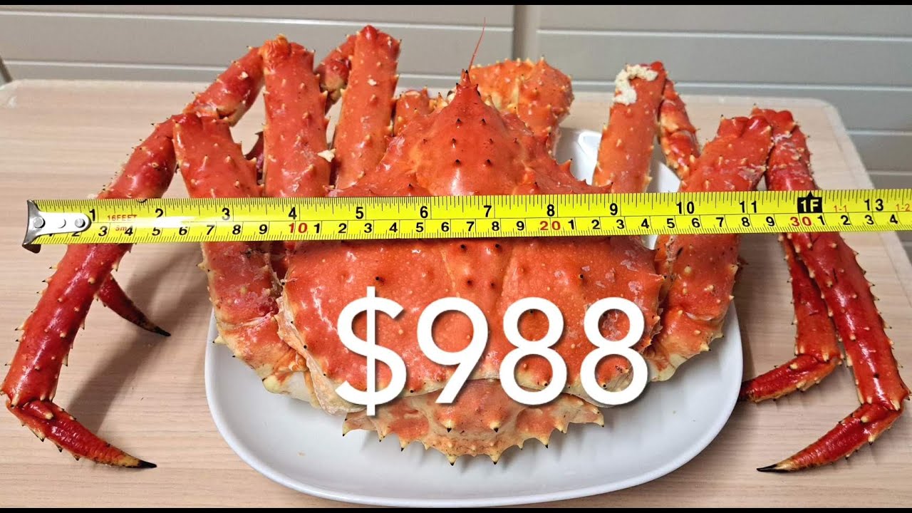 挪威長腳蟹 / 超抵抵食! 超好好食! / 自己搞得掂     Norwegian King Crab