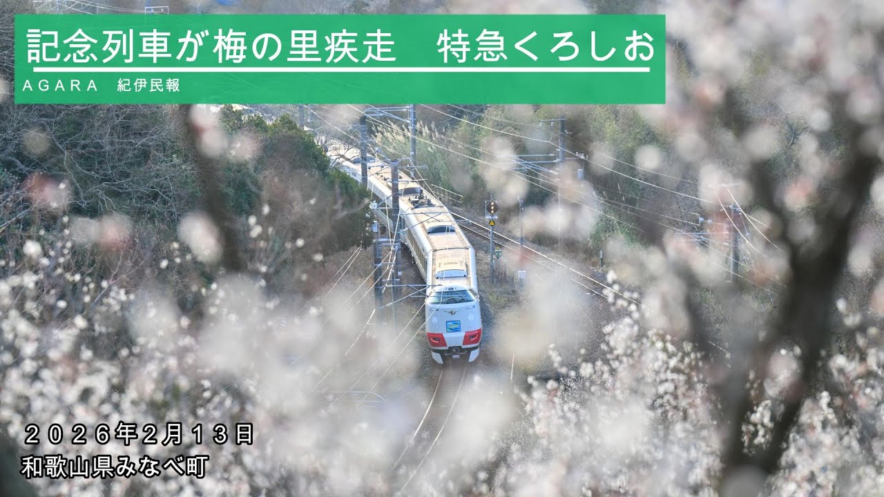 記念列車も疾走　見頃迎えた梅の里