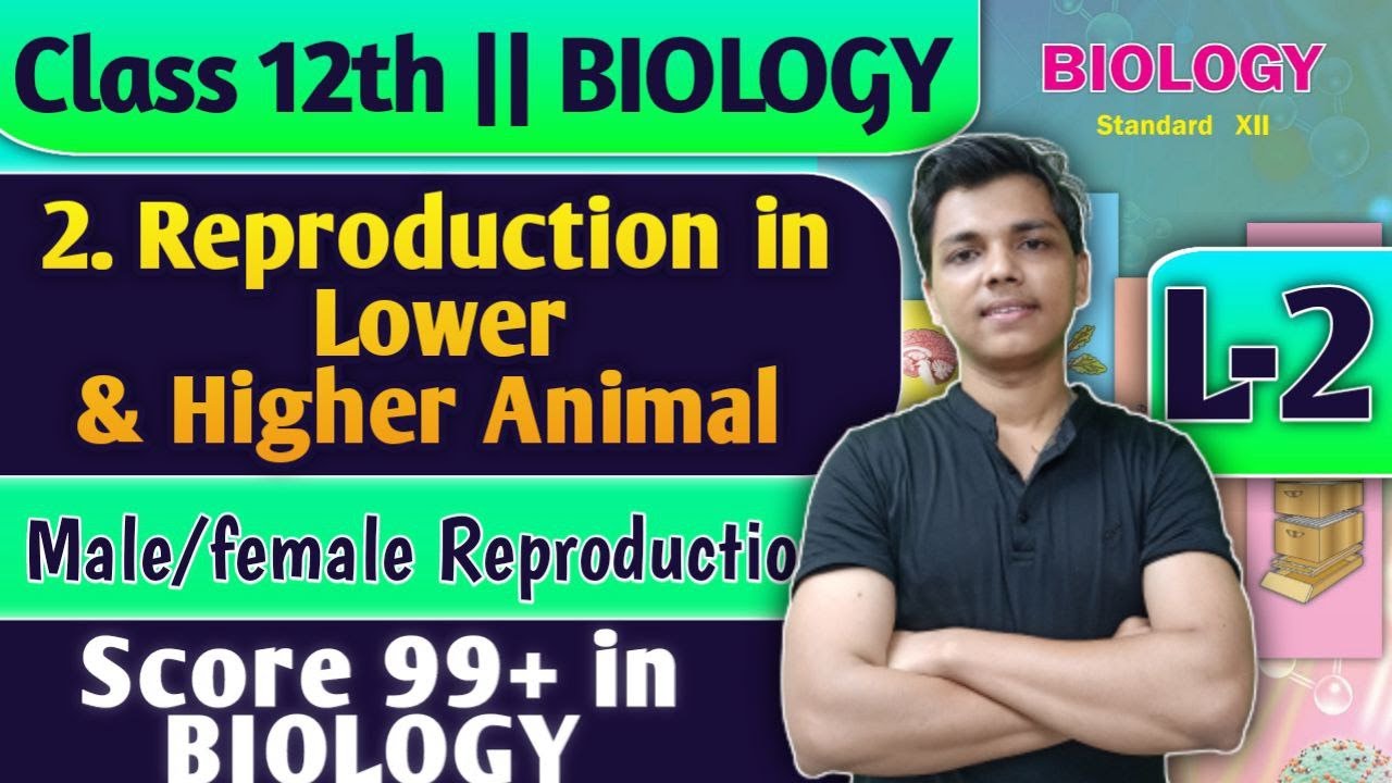 L-2 | 2. Reproduction in Lower and Higher Animal Class 12 Biology Sexual Reproduction #biology