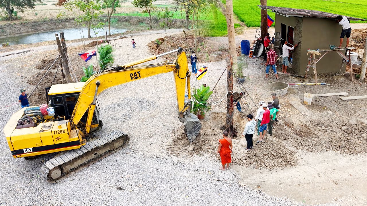 សកម្មភាពដាំដើមឈើ( ដើមធ្នង់ ) នៅទីទួលប្រាសាទ
