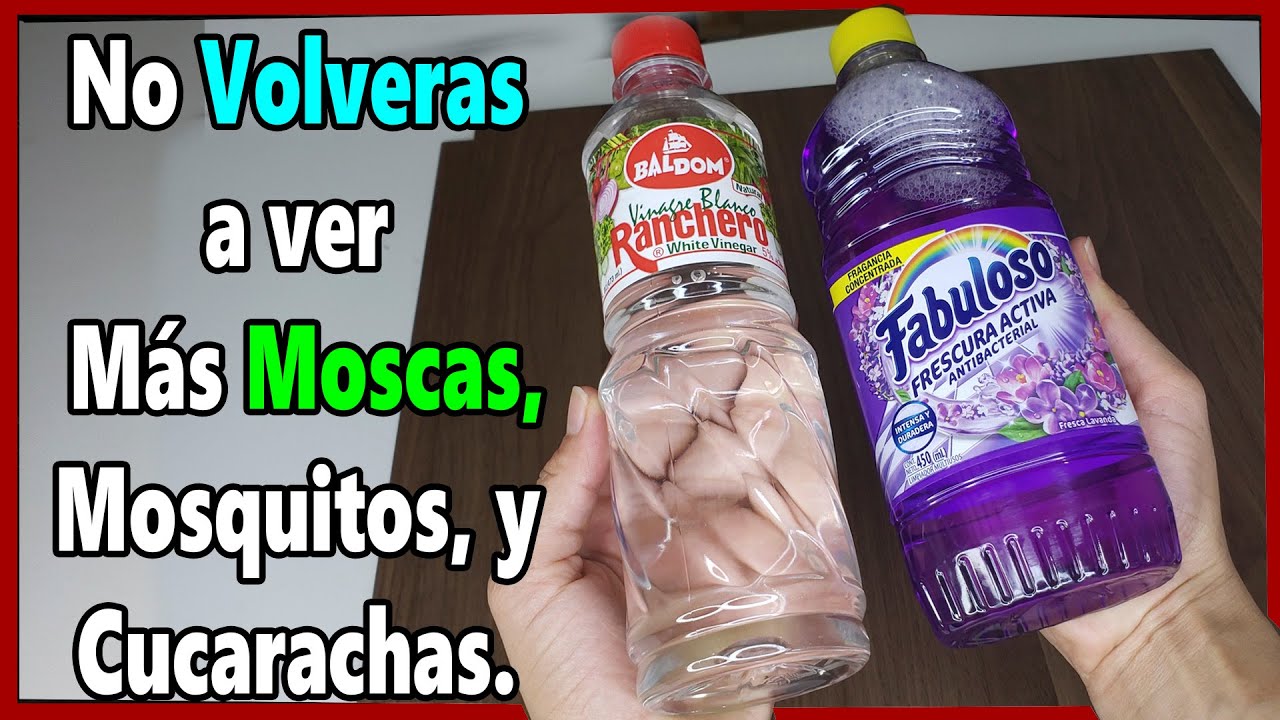 Úsalo en Casa y 10 Minutos Después, no Volverás a Ver más Moscas, Mosquitos o Cucarachas en tu Hogar