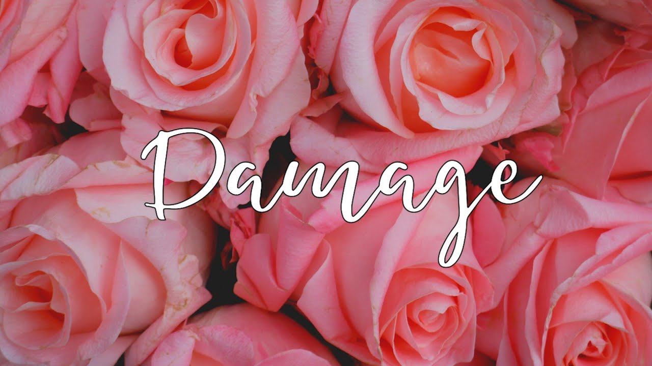 Lisu & Ipnar - Damage (Official Music Video)