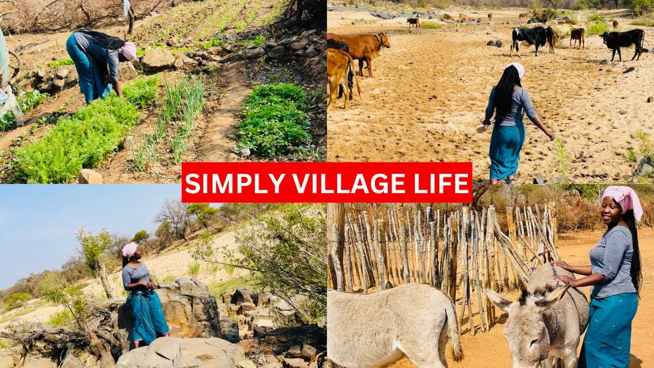VILLAGE LIFE IN AFRICA | A DAY AT THE FARM | ZIMBABWE VLOG🇿🇼🇿🇼🇿🇼