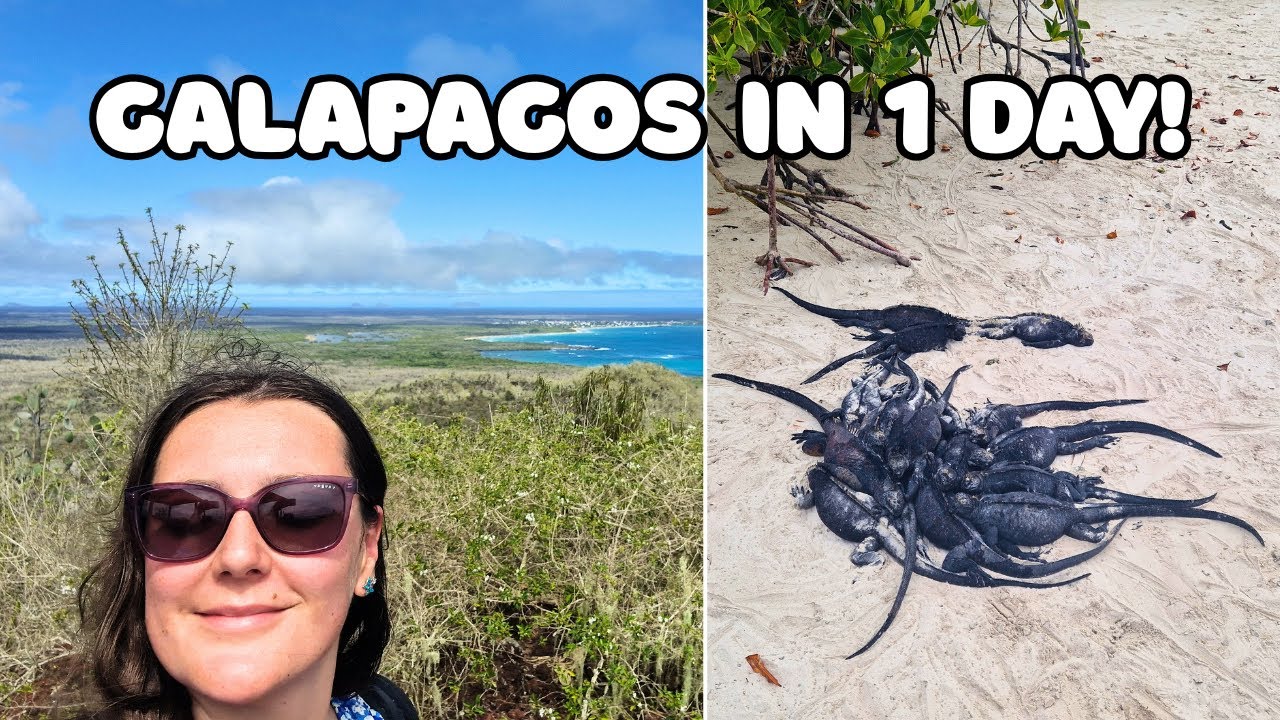Santa Cruz Galapagos in One Day 🇪🇨| Tortuga Bay, Marine Iguanas & Sharks