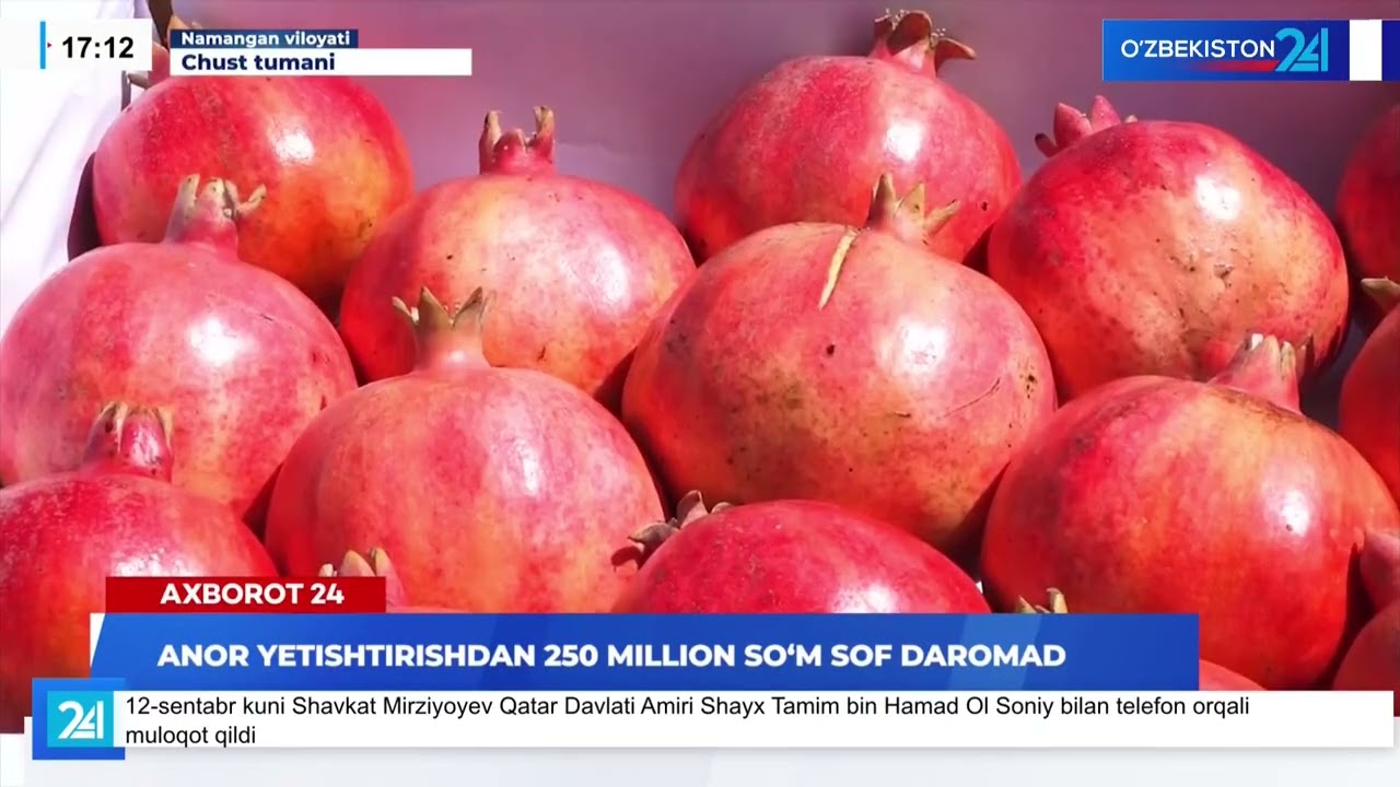 Anor yetishtirishdan 250 million so'm sof daromad I Axborot 24 (13.09.2025)