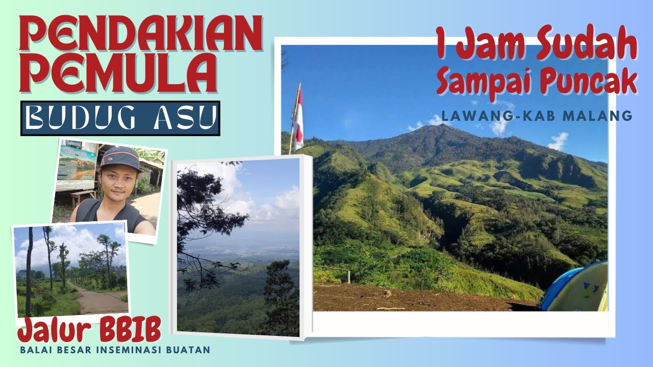 Hiking Santai Budug Asu Full Jalur BBIB Singosari, Lawang, Pendakian Ringan Pemandangan Yang Menawan