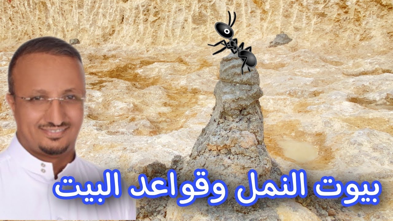 كيف اضع القواعد على ارض صخرية غير متساوية؟ طبقة النظافة تحت اللبشة والودع (البؤج)