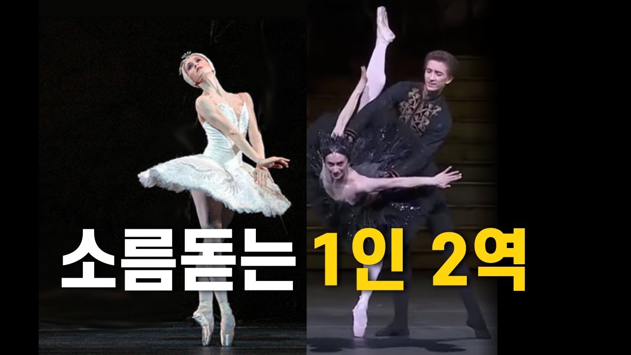 백조의 호수2편 백조오데뜨 작품분석ㅣ미국ABT발레단, 러시아 mariinsky발레단