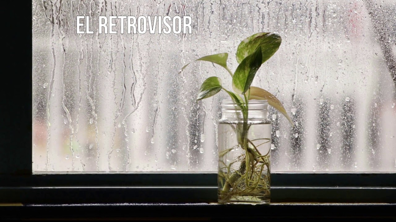 El Retrovisor