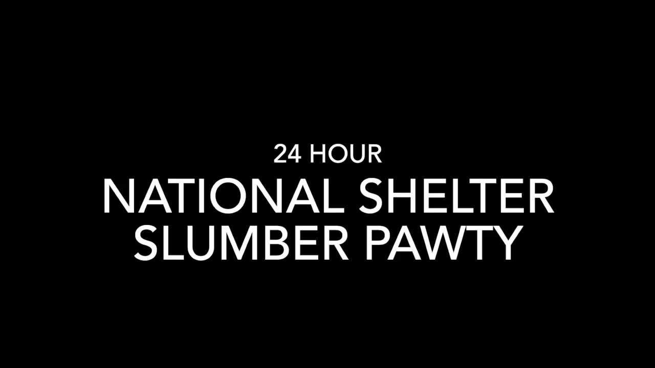 Join the National Shelter Slumber Pawty