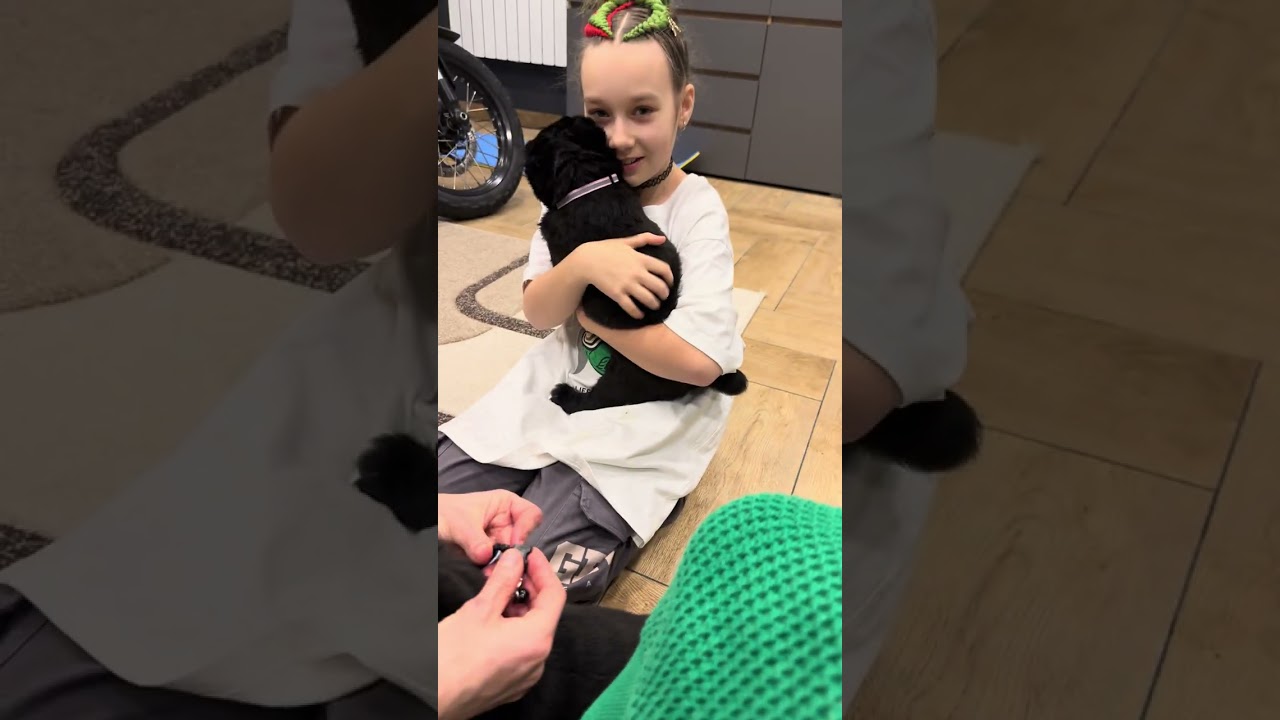 Маленький Алабай, большая любовь 🥰 Майбах и Хэннэси 
