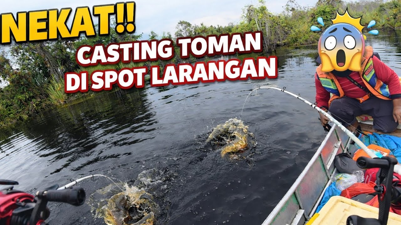 NEKAT ‼️ CASTING TOMAN DI SPOT LARANGAN 
