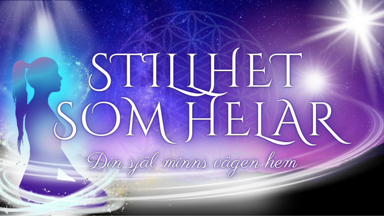 Stillhet som helar &ndash; Meditation f&ouml;r inre &aring;terkoppling