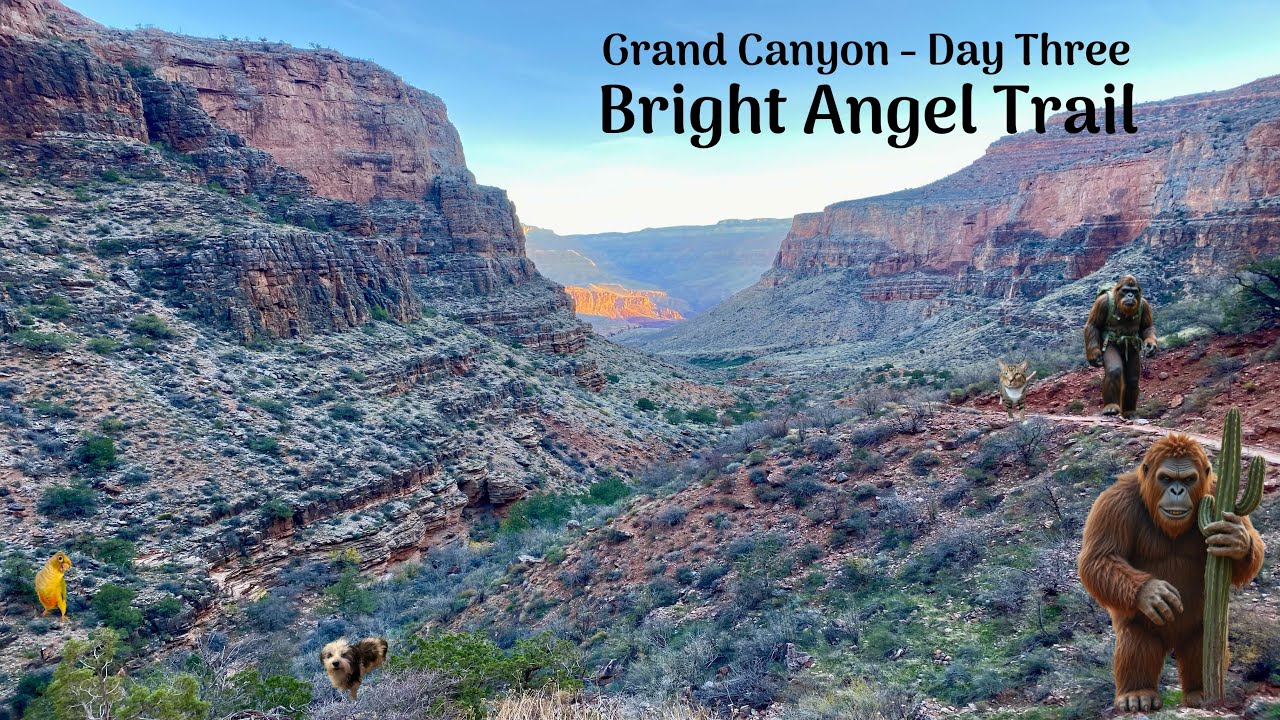 Will I Survive my Hike Out of the Grand Canyon?