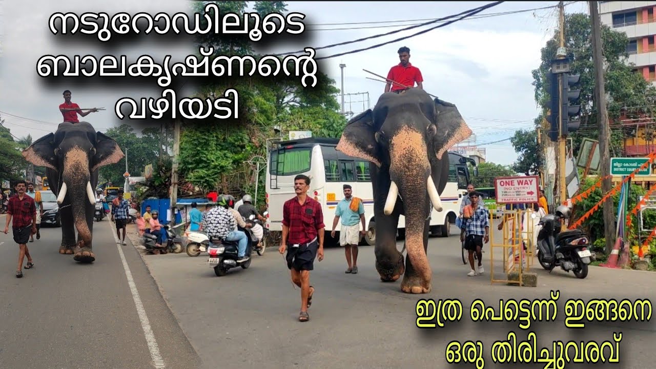 നടുറോഡിലൂടെ ബാലകൃഷ്ണന്റെ വഴിയടി mullackal balakrishnan ! elephant waking! mararikulam madhu