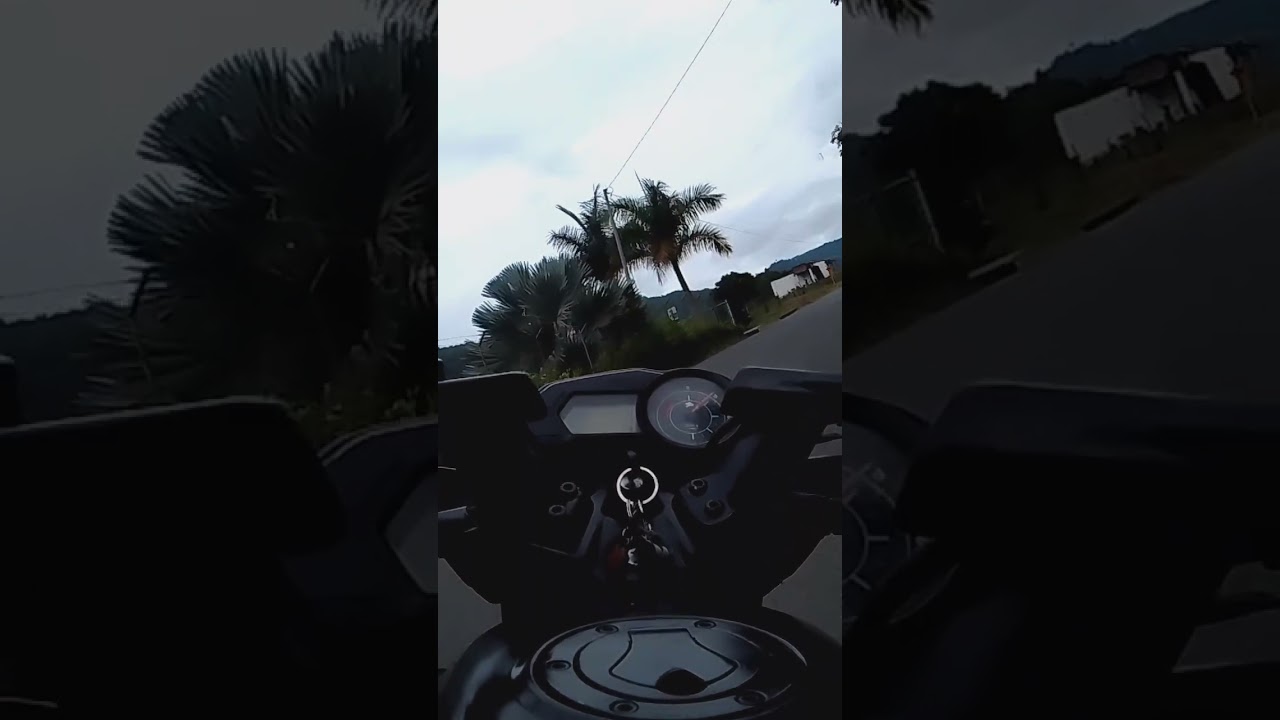 Camino a guatica Risaralda 