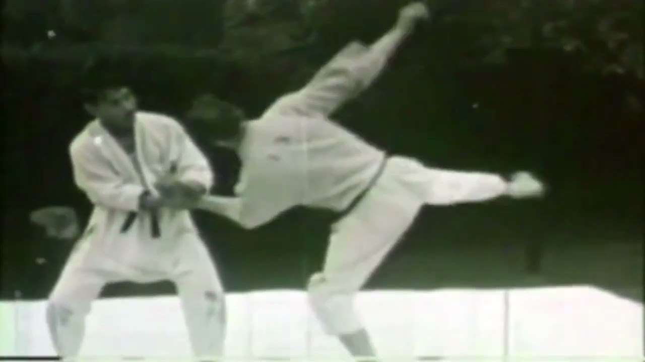 GUNJI KOIZUMI Part13 Goshinjutsu Self Defense