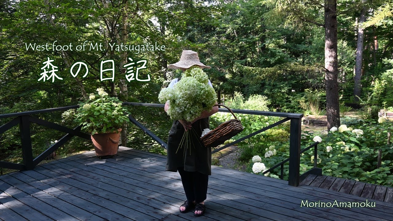 古い別荘の片付け/高原野菜のお料理/トトロの気配？