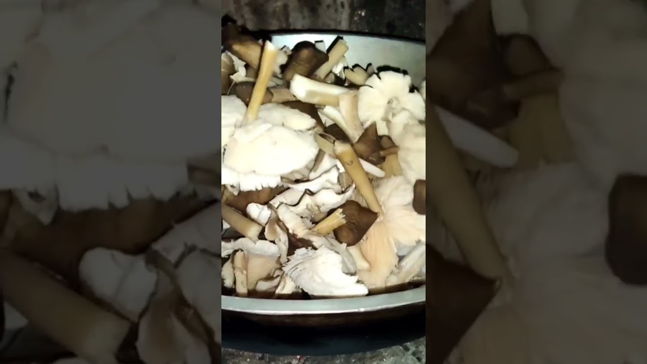 How to cook wild mushroom