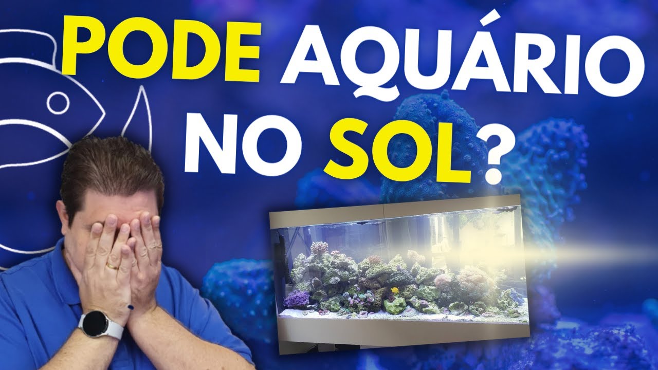 PODE AQUÁRIO NO SOL?